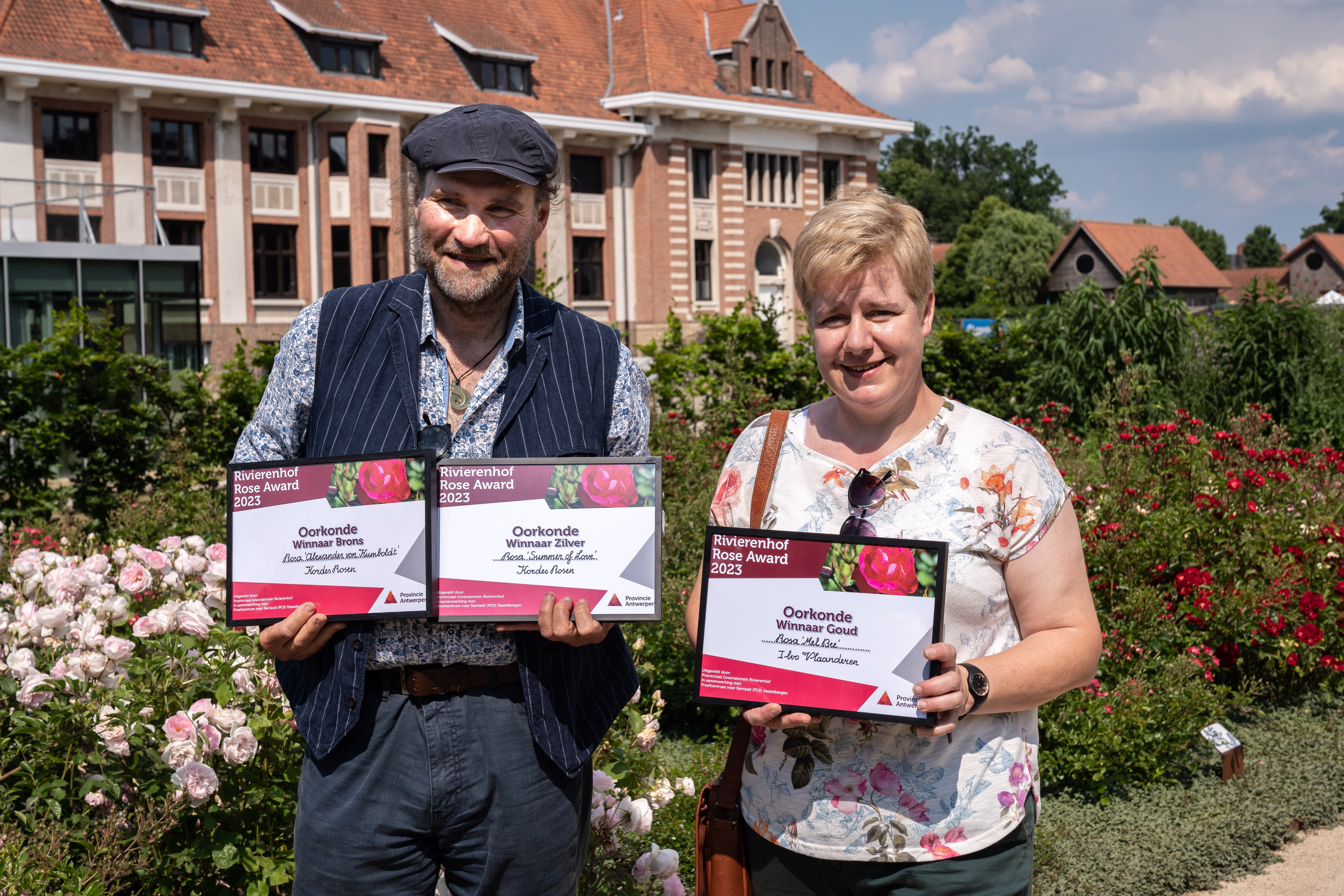 Roos ‘Mel Bee’ wint Rivierenhof Rose Award - Copyright: provincie Antwerpen