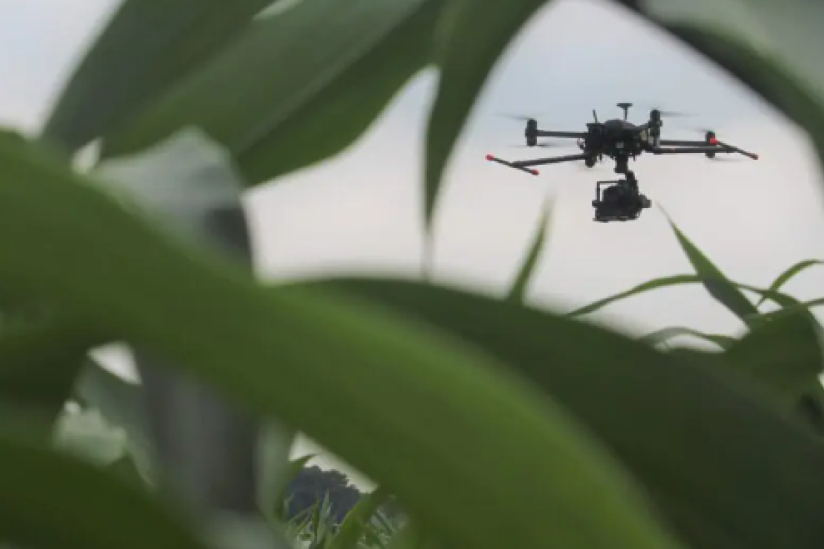 Drones en AI voor voedingsindustrie