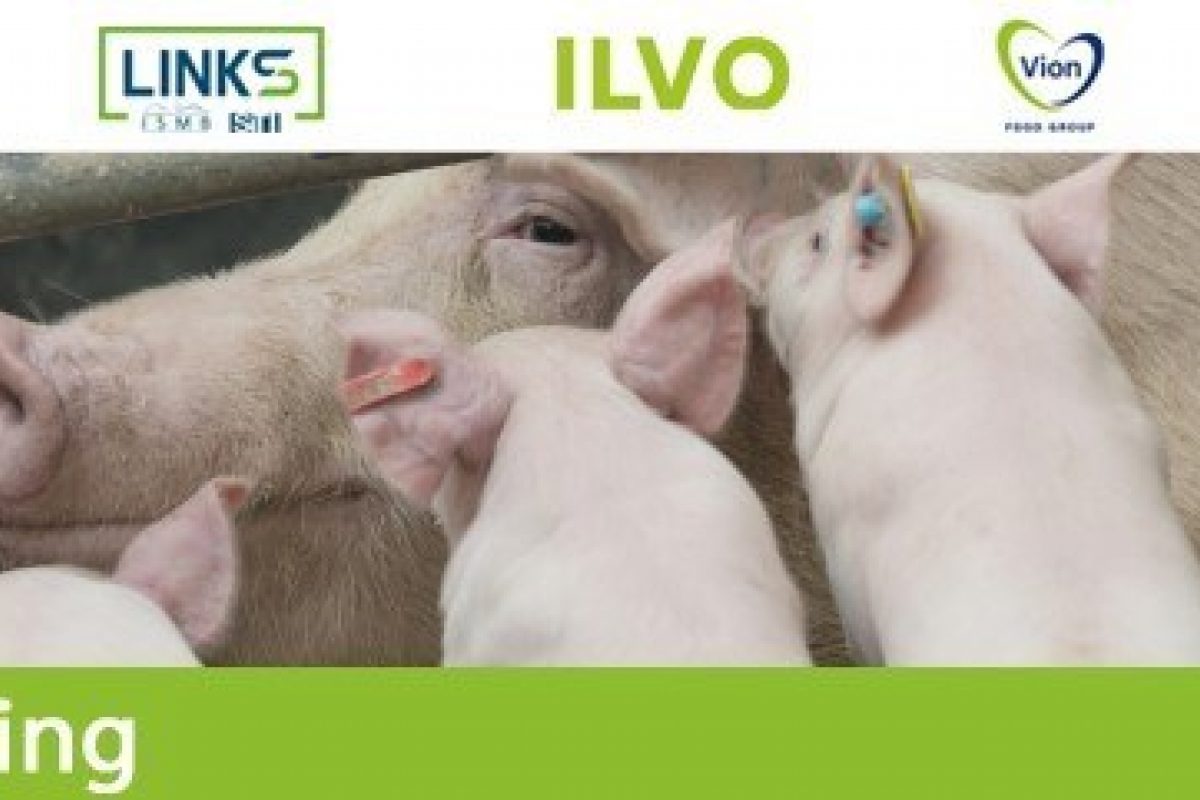 IOF varkensmanagement
