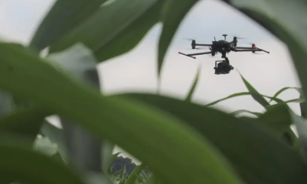 Drones en AI voor voedingsindustrie