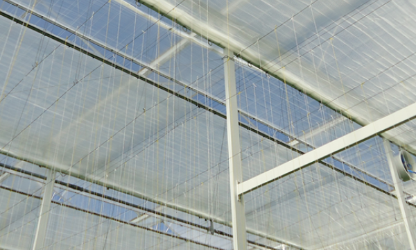 screens in greenhouse horticulture