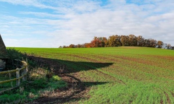 Kerkelijke landbouwgrond