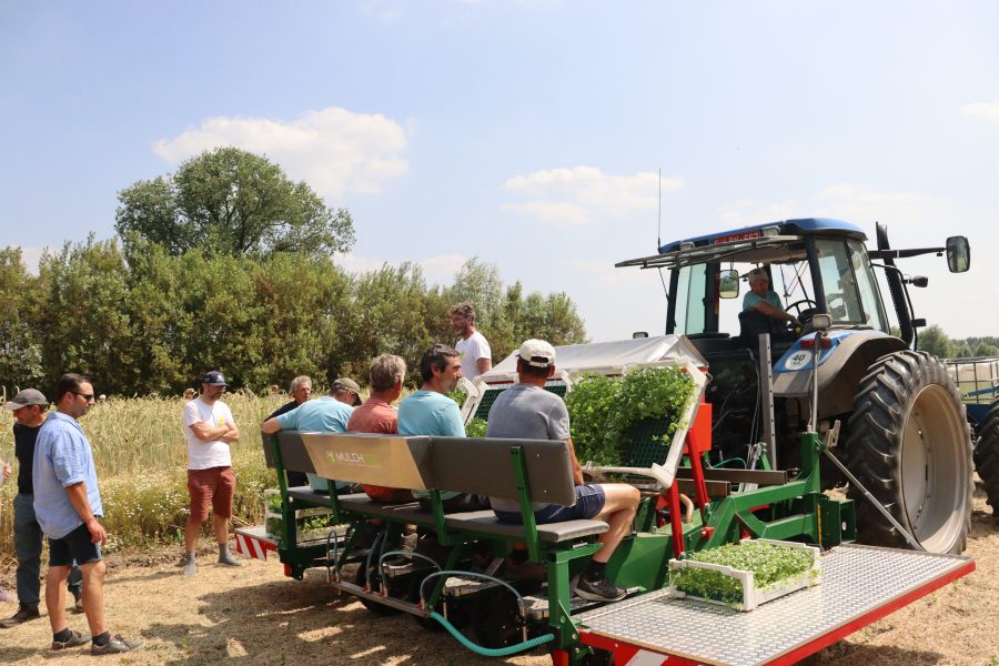 Demodag Hansbeke Agro ecologie - planten