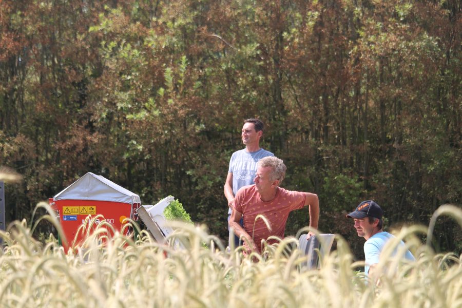 Demodag Hansbeke Agro ecologie - demo 5