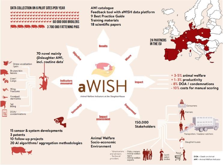 aWISH infographic