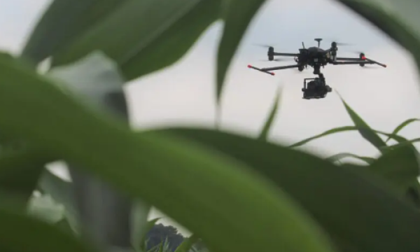 Drones en AI voor de voedingsindustrie