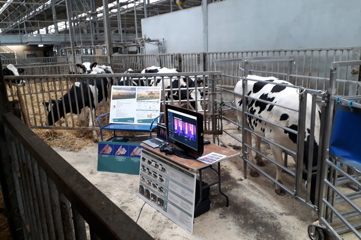 Livestock monitoring clawcare