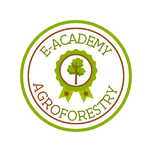 E-Academy Agroforestry