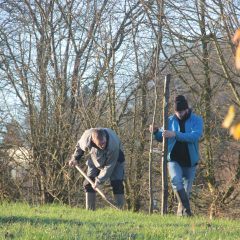 two people planting a tree