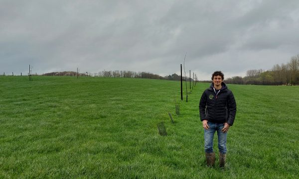 Nico Vandervelpen in zijn aanplant