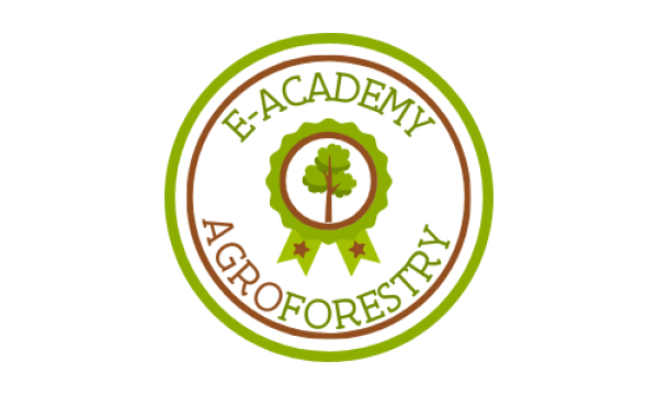 E-ACADEMY