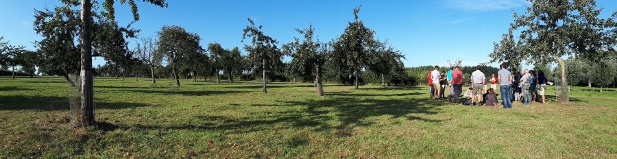Fruitboomgaard Noord-Frankrijk