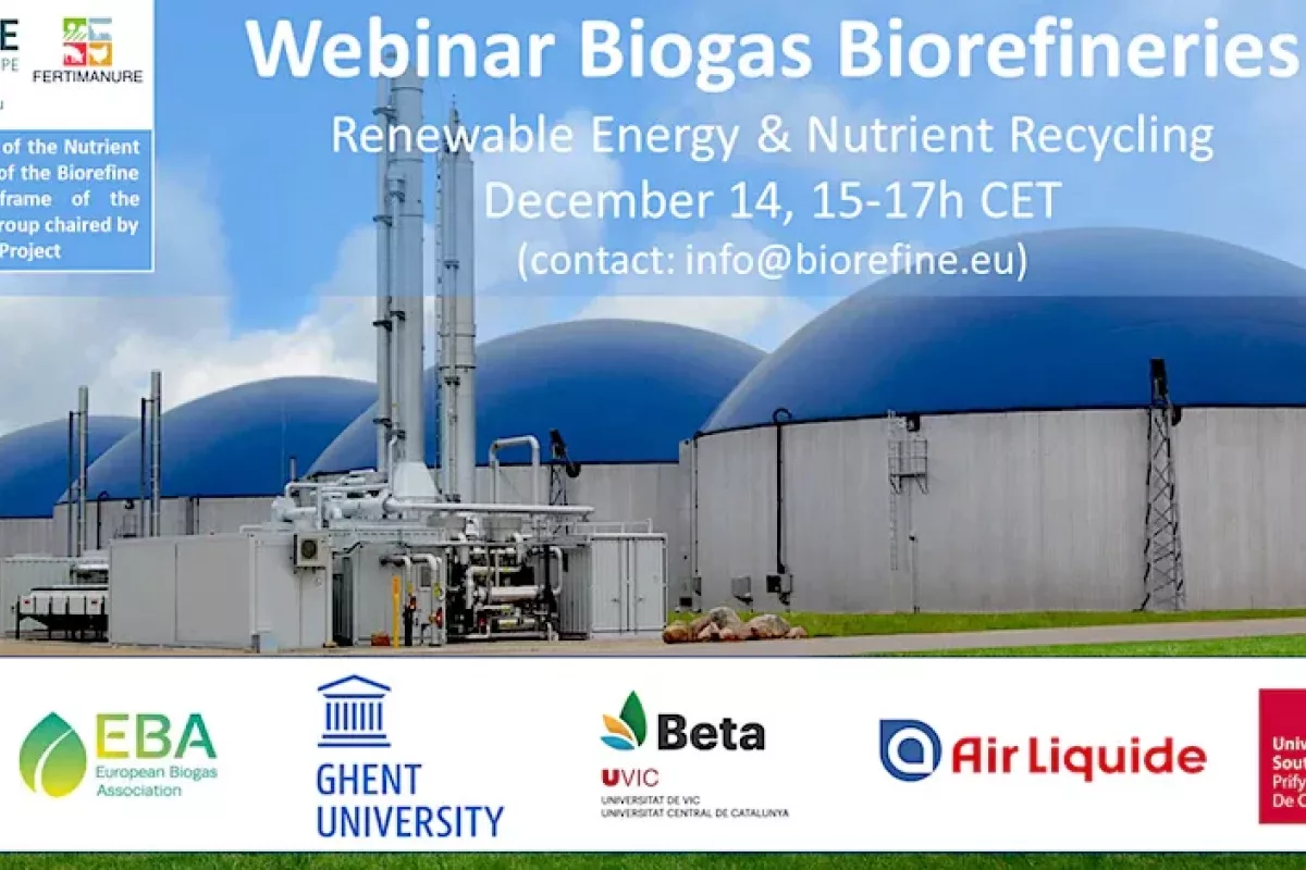 Webinar Biogas Biorefineries