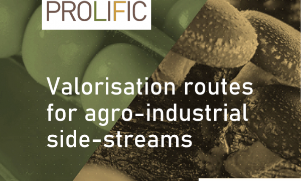 Valorisation routes side-streams