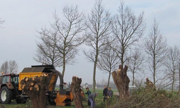 Landbouwers bezitten vaak een zekere hoeveelheid hout afkomstig van houtkanten of van kleine landschapselementen. - Foto: Provincie Oost-Vlaanderen