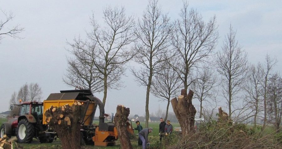 Landbouwers bezitten vaak een zekere hoeveelheid hout afkomstig van houtkanten of van kleine landschapselementen. - Foto: Provincie Oost-Vlaanderen
