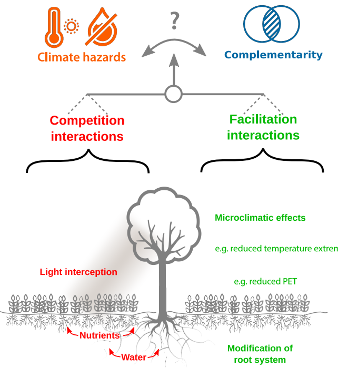 De complexe interacties tussen complementariteit en competitie (naar: Blanchet et al. 2019)
