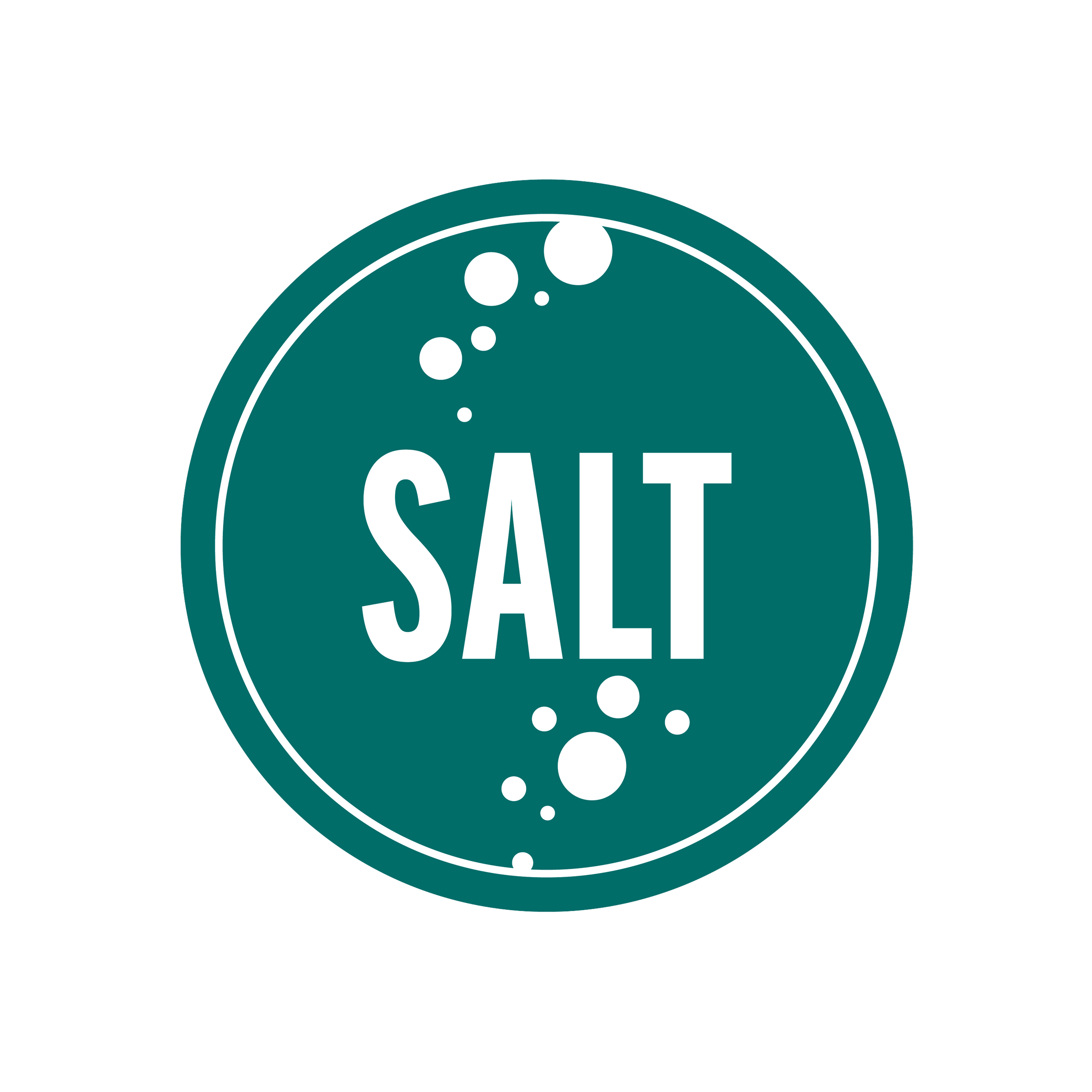 SALT logo