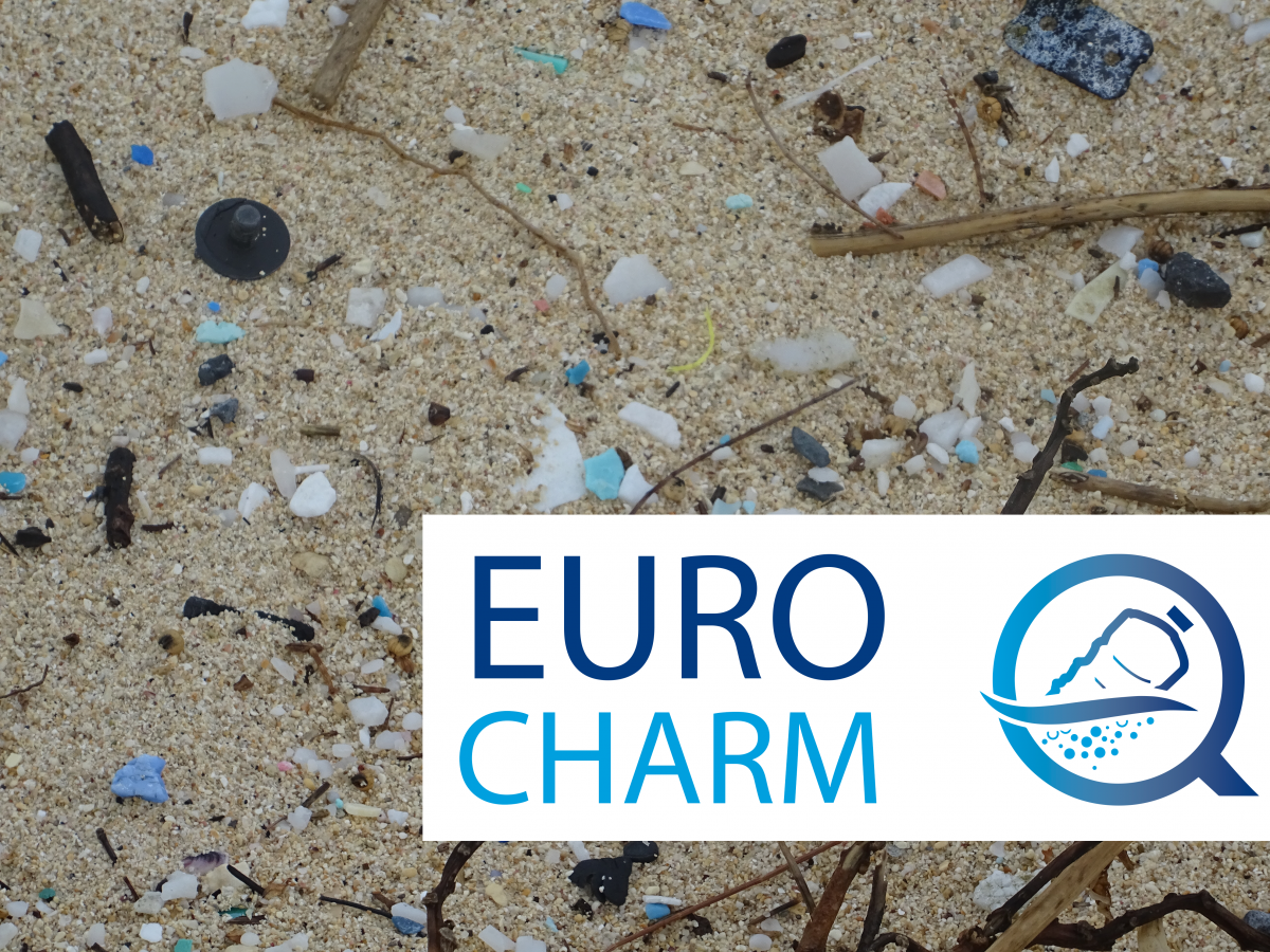 Beach with plastic euroqcharm logo