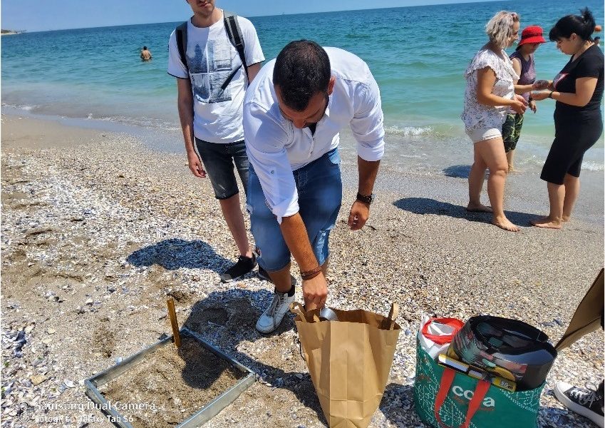 researchers on the beach