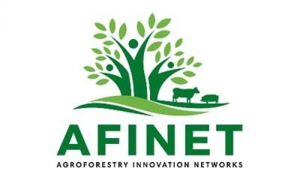 Logo AFINET