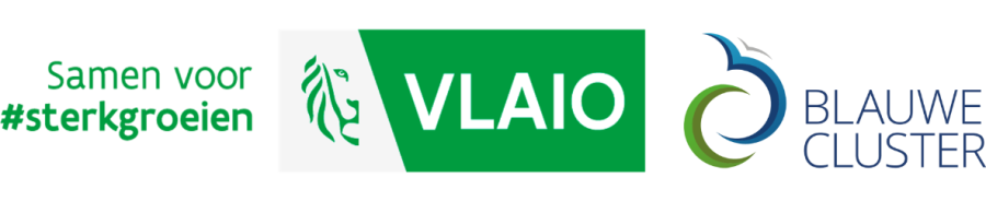 Vlaio Blauwe Cluster