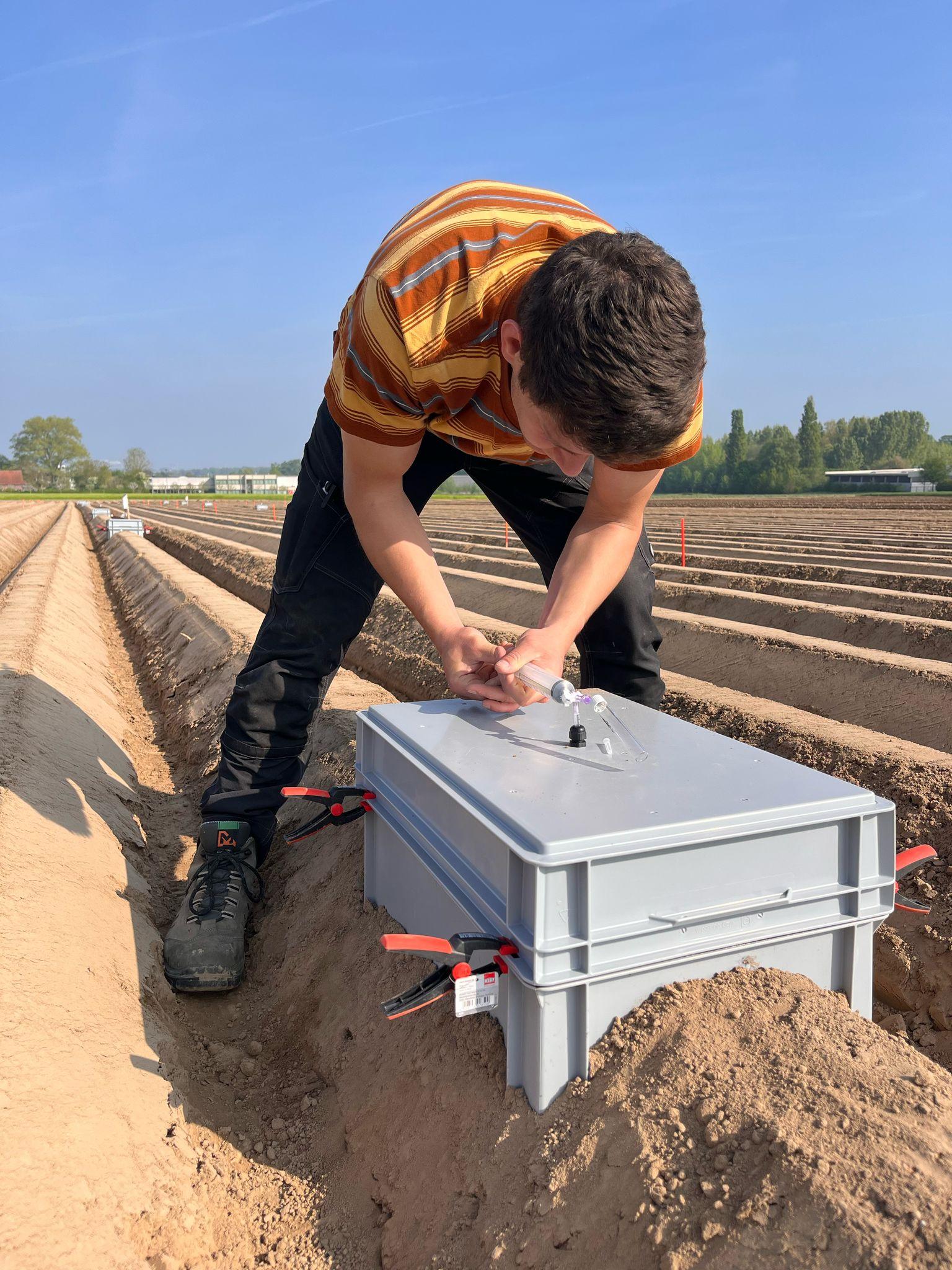 Plastic box op aardappelrug
