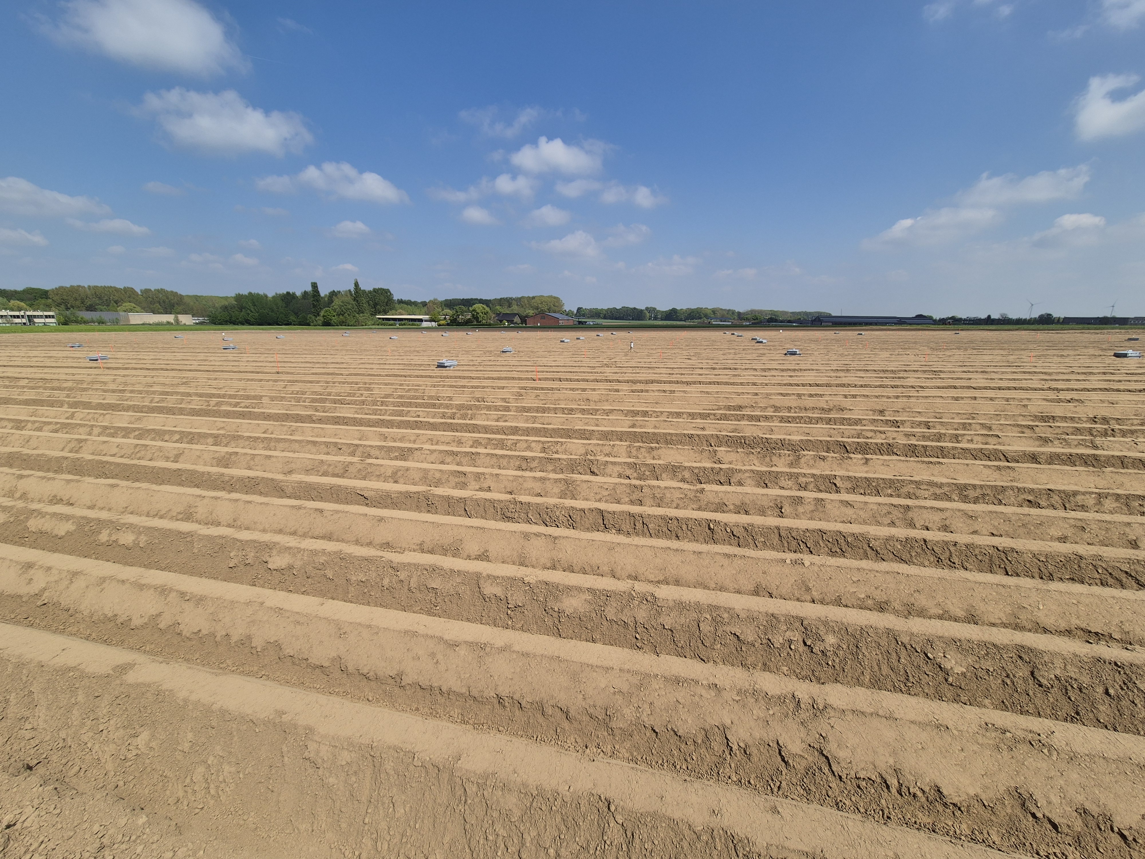 Metingen na planten aardappelen