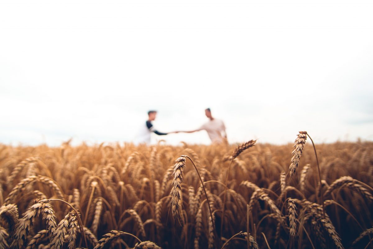 Twee personen op een granenveld schudden elkaar de hand.