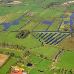 aerial view of agricultural fields and wet areas