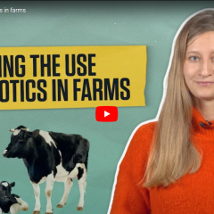Minder antibiotica op boerderijen - Fanny Baudoin