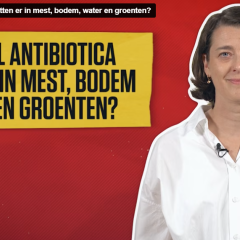Hoeveel antibiotica zitten er in mest, bodem, water en groenten?
