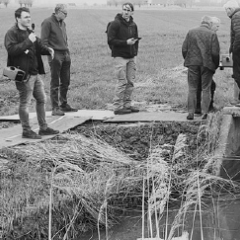 People standing around a weir