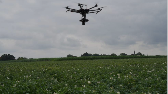 Drones above a potato field
