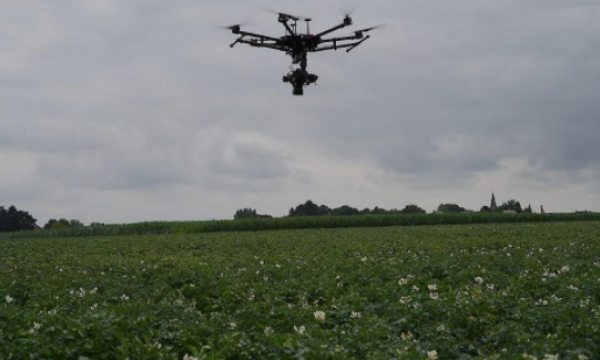 Drones above a potato field