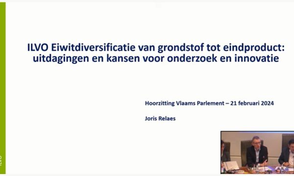 Joris Relaes in Flemish Parliament