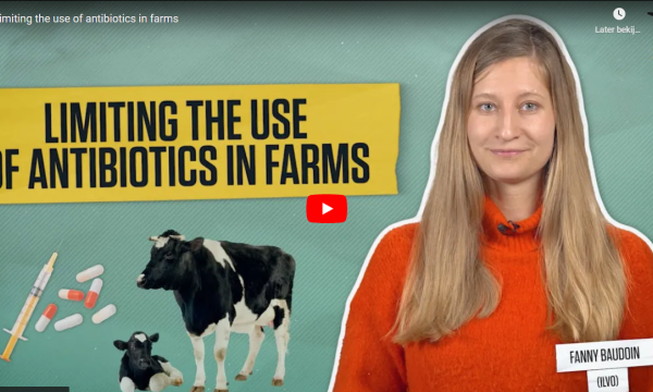 Limiting the use of antibiotics in farms - Fanny Baudoin