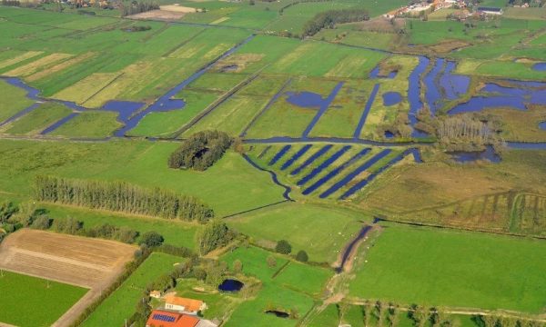 agricultural fields with bordering wetlands