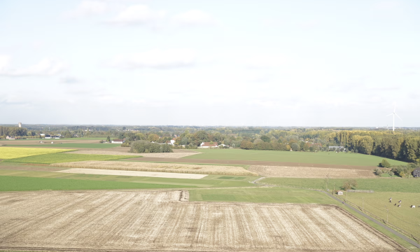 aerial shot of fields