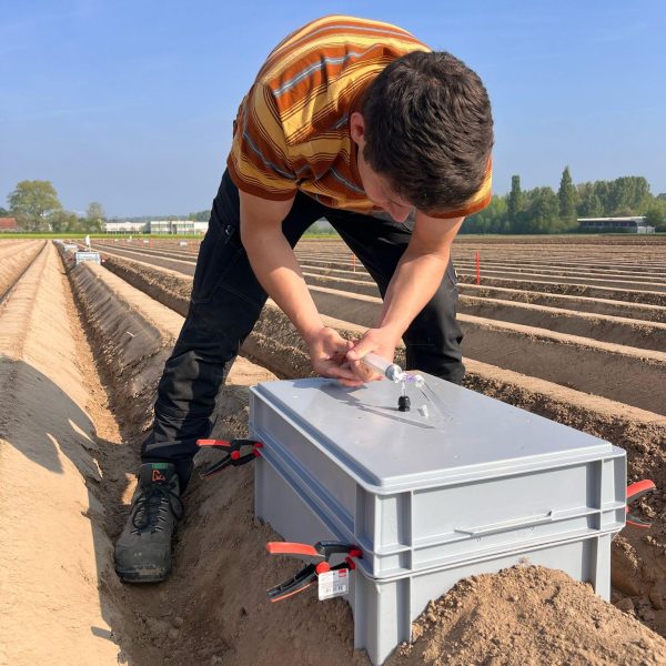 man examines plastic box placed on a potato ridge in field