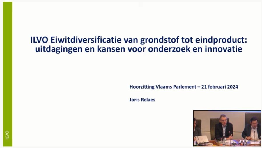 Joris Relaes in Flemish Parliament