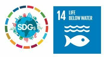 Logo SDG’s (Sustainable Development Goals), nummer 14: Behoud en maak duurzaam gebruik van oceanen, zeeën en maritieme hulpbronnen