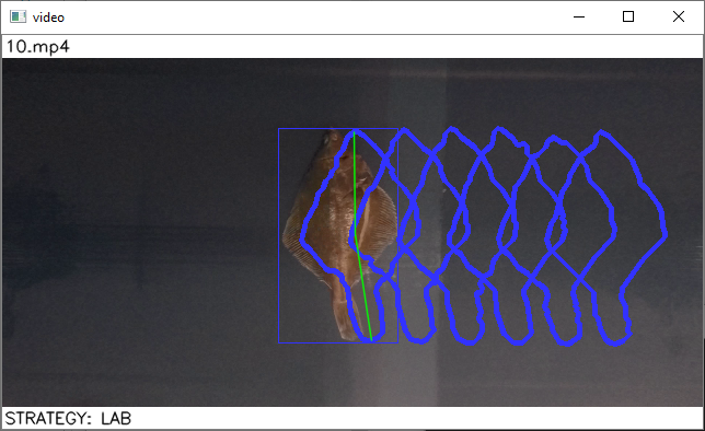 Een still uit Machine Vision, een platvis met blauwe herhalende contouren