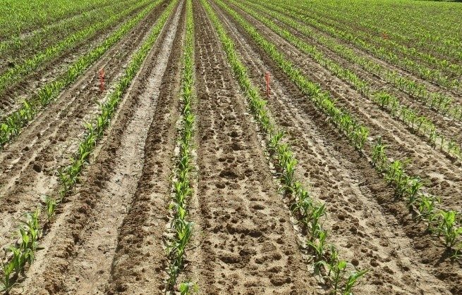 field with different soil textures