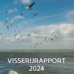 Visserijrapport 2024 - book cover