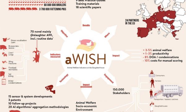 diagram of aWISH project