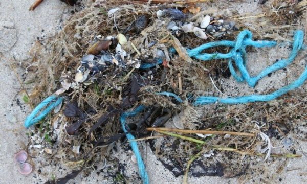 Plastic vervuiling op Belgisch strand