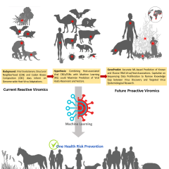 genome based prediction of risks posed by viral pathogens