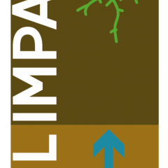 logo peilimpact