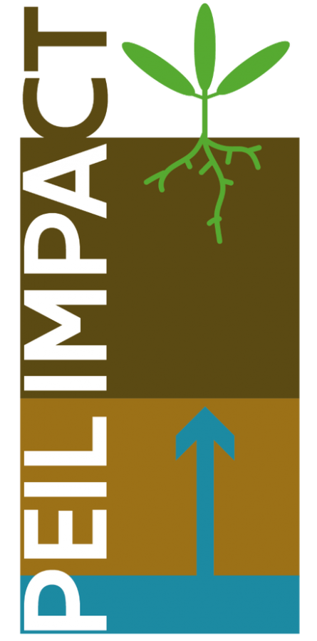 logo Peilimpact